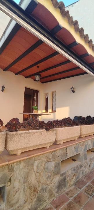 Cal Llop Villa Sant Cugat de Sesgarrigues Exterior photo