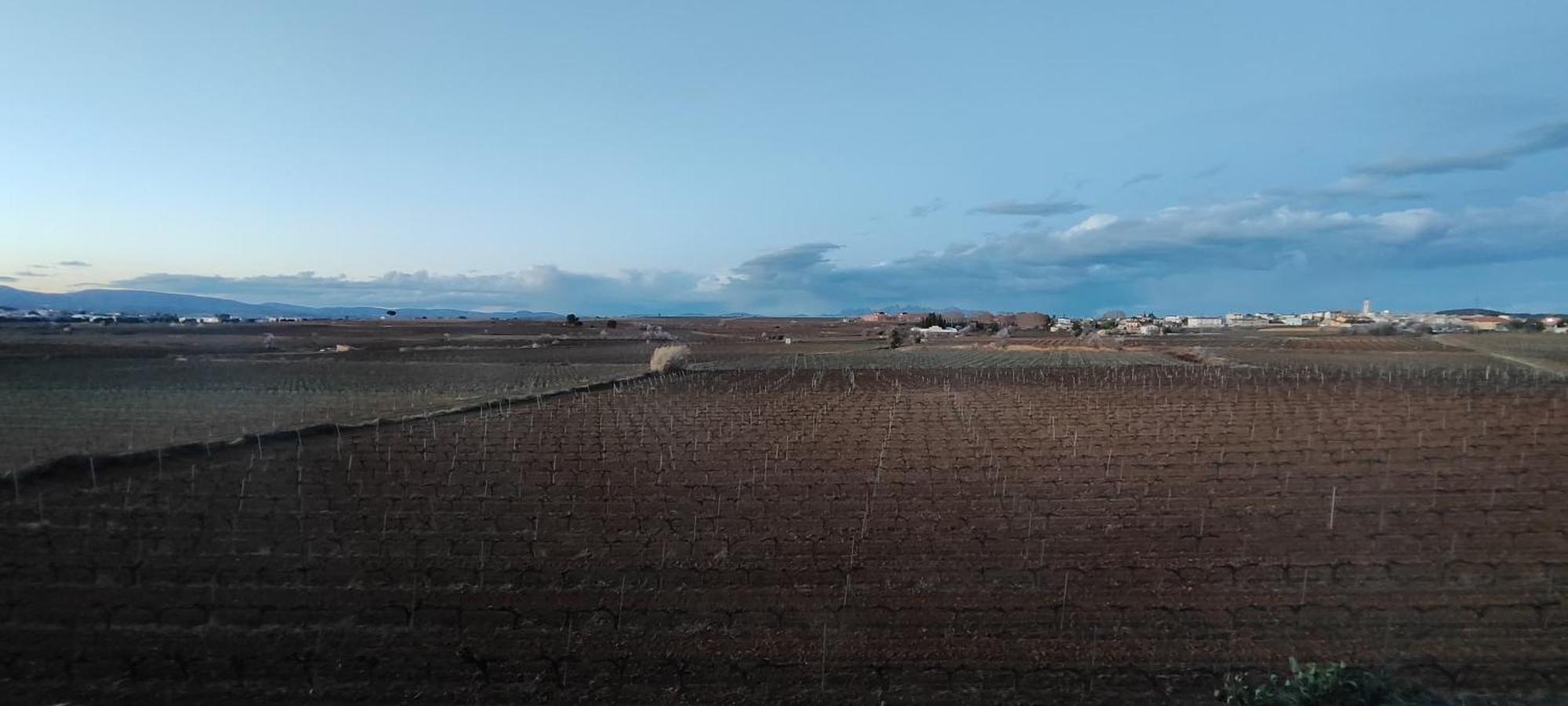 Cal Llop Villa Sant Cugat de Sesgarrigues Exterior photo